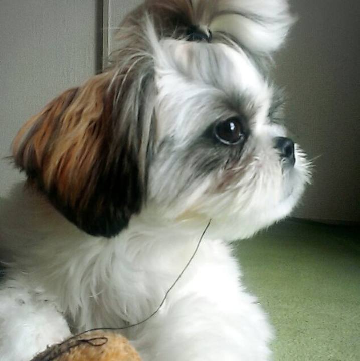 90295a6f aad8 441f 831c 9c13252158c7