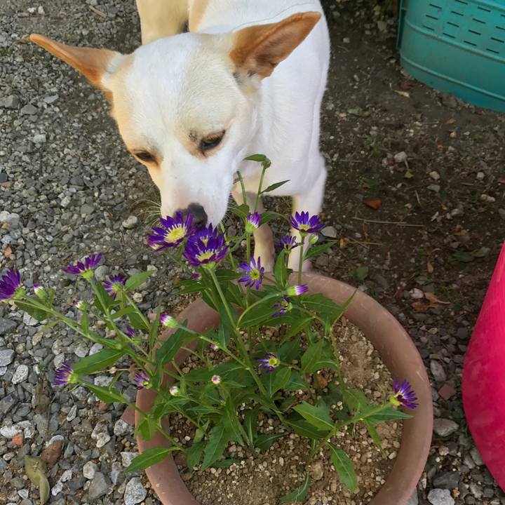 90297f53 0e87 43a4 b03a 2380f5e8c410