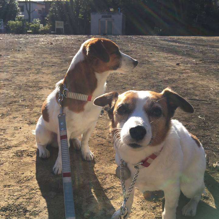 9029ba98 a127 4456 b286 126fa7fa3ba7