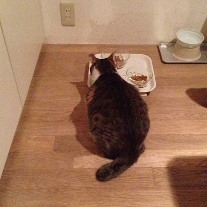 9029d5f3 0b78 4b59 a7d1 4d27ad737f08