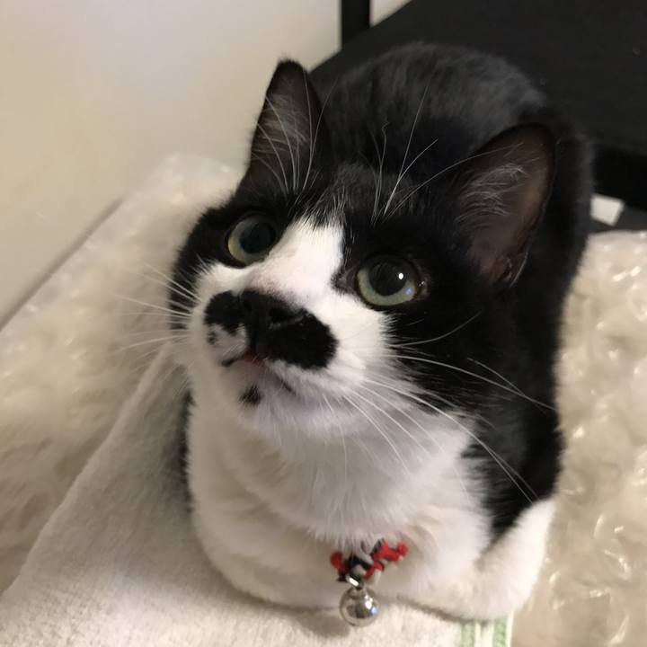 902a3012 fb0b 40e8 ae25 9e446ff1cd94