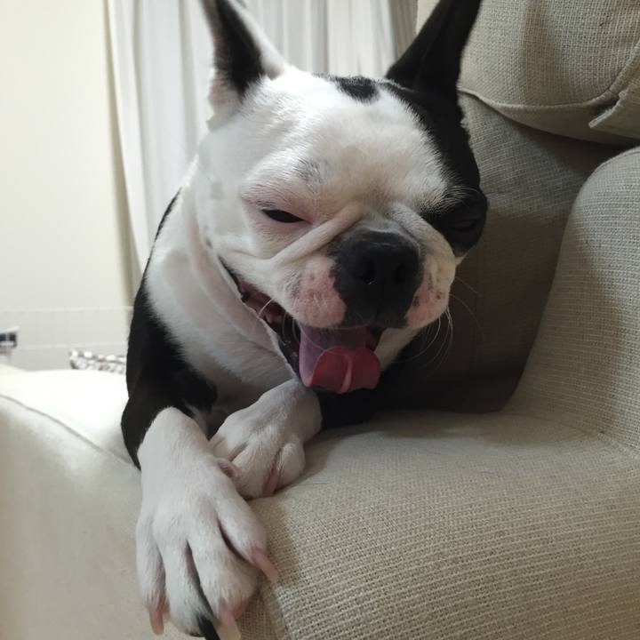 902a38aa d20d 4efe 9c81 e37dd12cb957