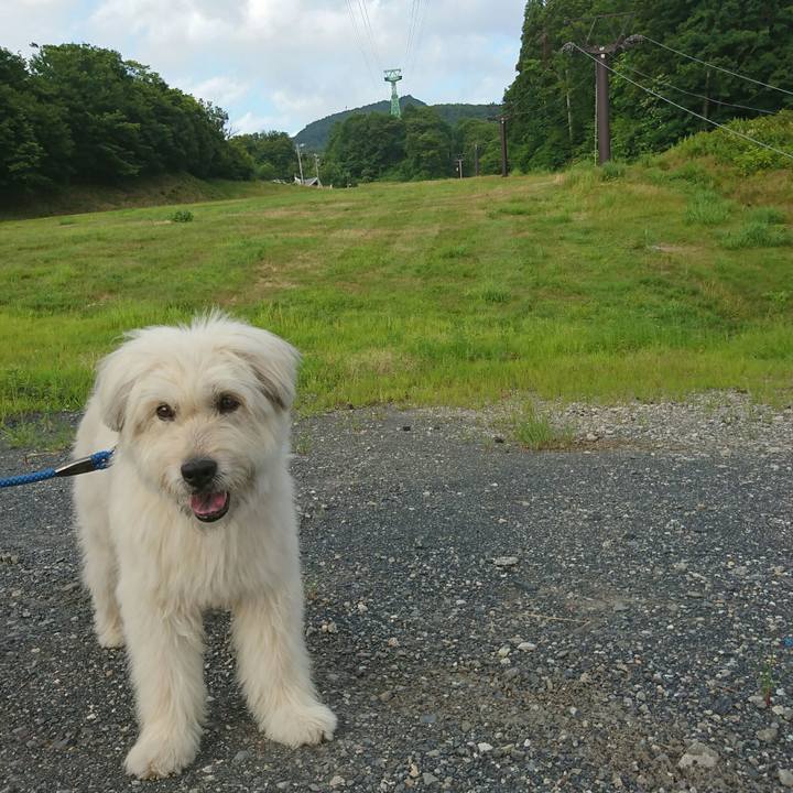 902a8ffa a3ef 4254 998d 621cf97552b4