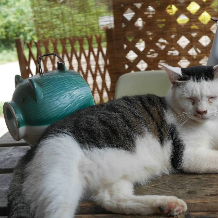 902aa64a 20f5 414d b4bb 9bb78e21cd60