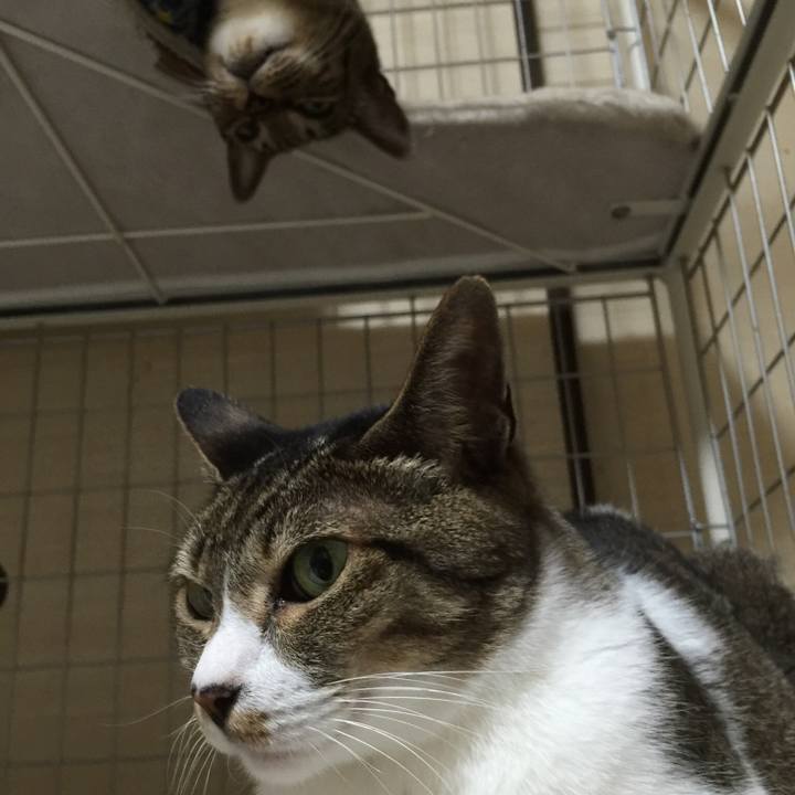 902ae7fc 3995 41e7 84f2 b30bdd78ecc5