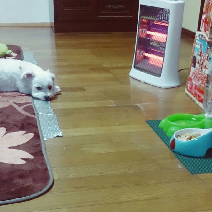 902b3312 def4 4ba5 a70a 8819e11741dc