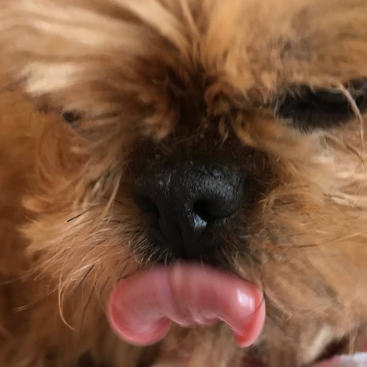 902b559f 2cea 4317 b997 d253482497cf