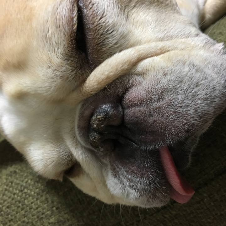 902bb032 0c59 4998 94da 0d71dab04f9e