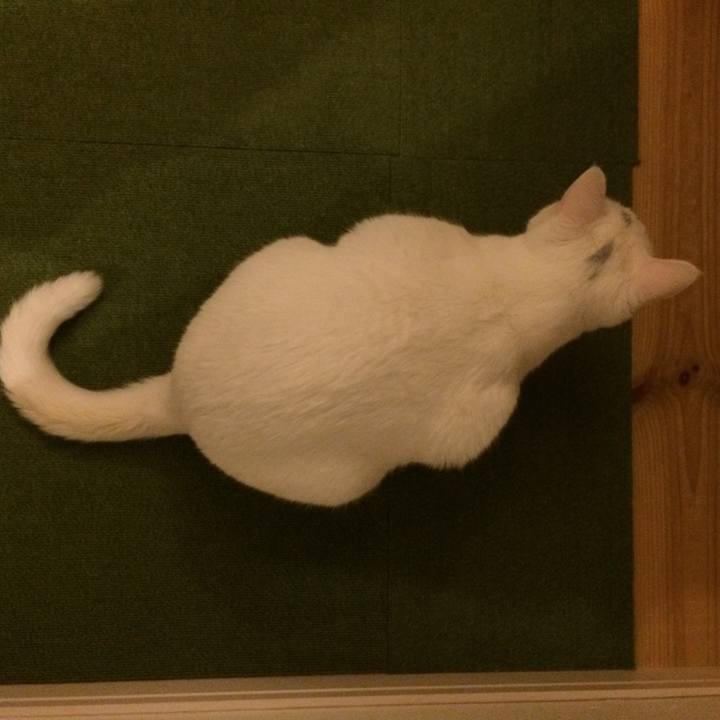 902c6ba9 849c 40ab b649 2cbe7dfeb676