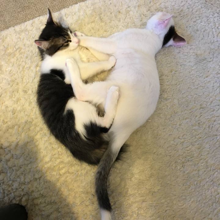 902c723c 30e6 40c6 904a f357159fb725