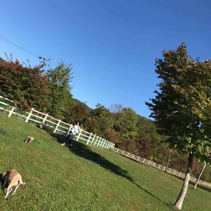 902d731a 292b 43cf 9187 2454944e4fea