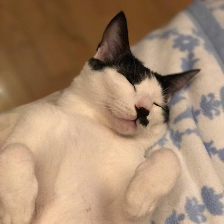 902dbc24 d5bc 4233 9cca 0b48073ebc4f