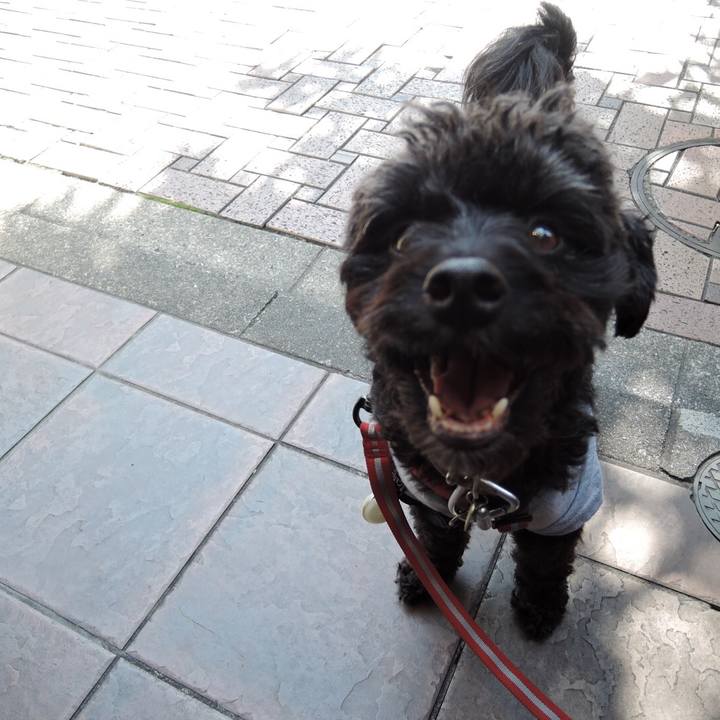 902e13b2 c394 441d a424 418a2013f0d6