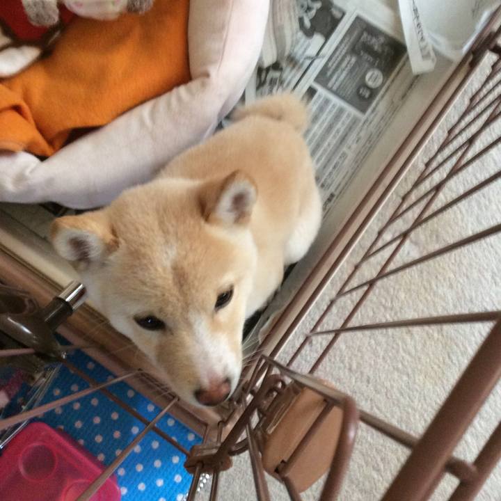 902ed4ba 8d4c 4b79 b9d1 61befad51298