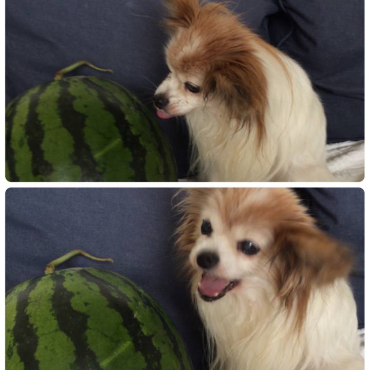 902f42cd 57c6 4829 b7ed 7a3ca5fa1028