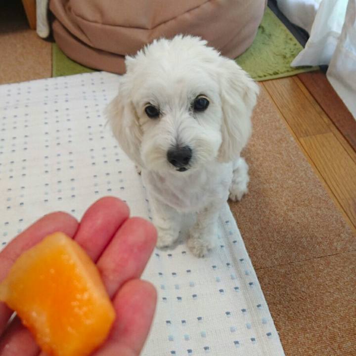 9030f0fe 3693 43ee 837d 65222763a422