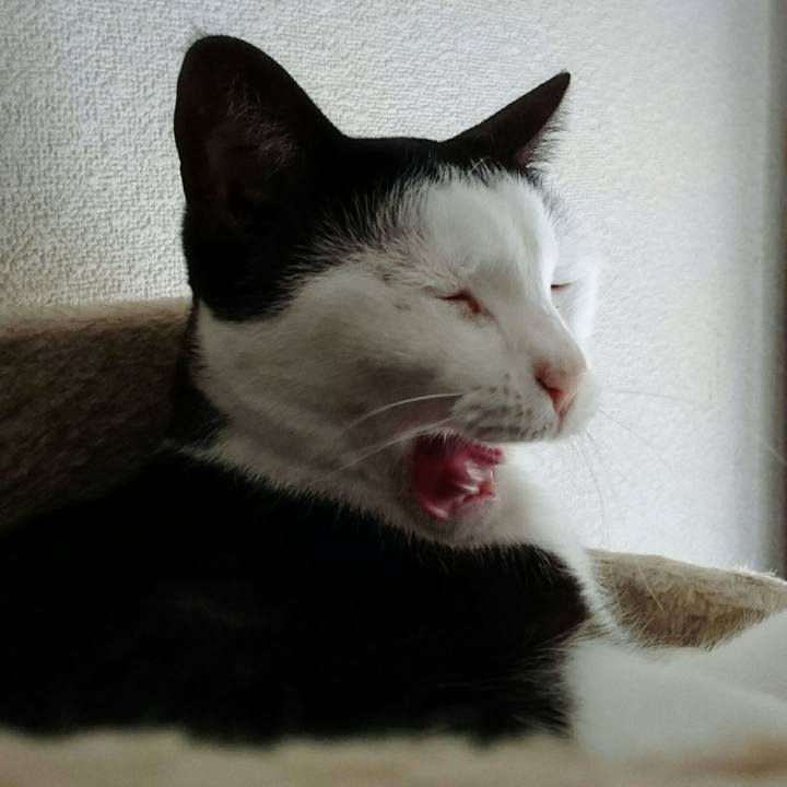 9031867f 4fc7 4f30 9d19 dc0c3fa39f04