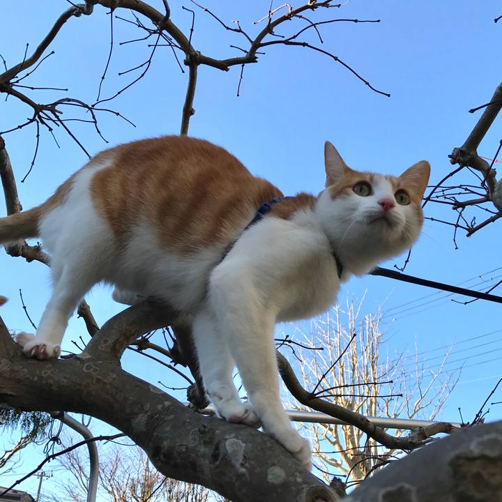 90324a29 b302 49d0 8e96 bbd1cec4aed2