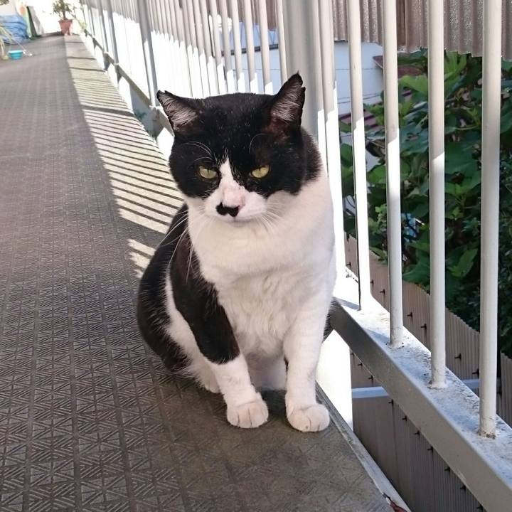 90326c7d f4bb 45aa b340 abe7e0ce7cc7