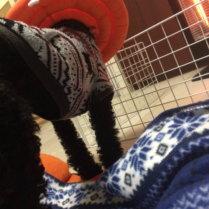 90328232 3cc6 4669 847c ceeb36d71ffc