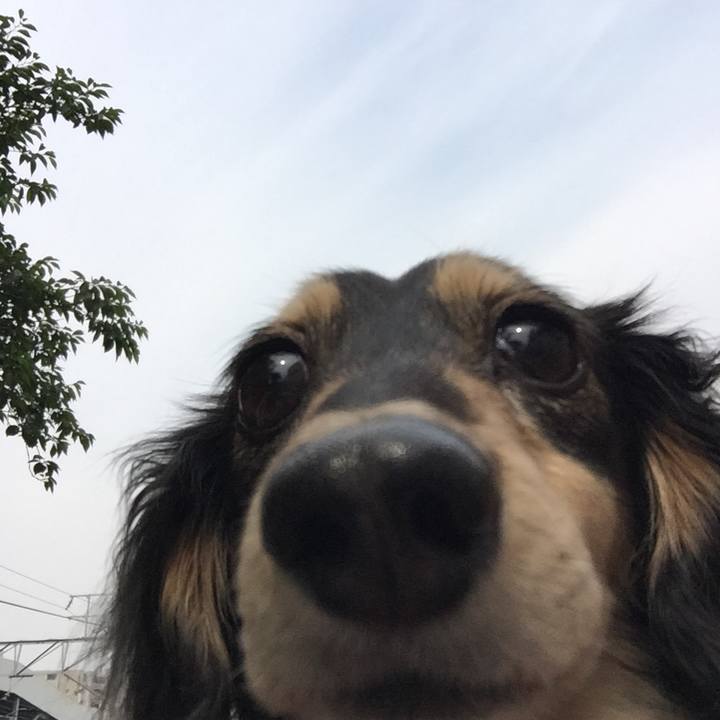 90334702 d6ca 48f4 8c03 6add3bdb97fa