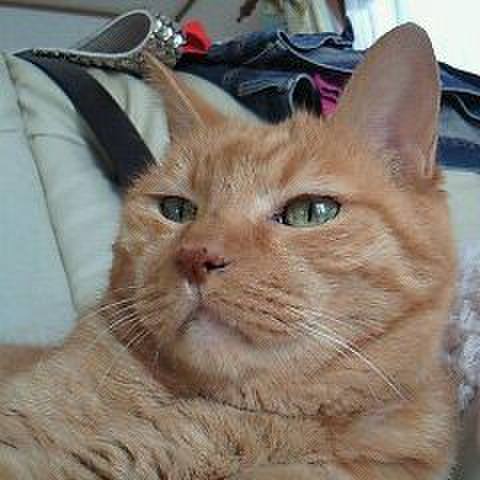 90339096 4ee3 488f 95e1 d484e6a0dbe4