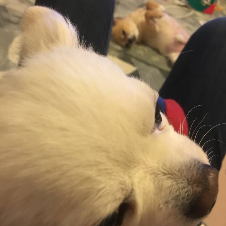 9033eae9 ab34 4cc4 b881 8b04c2c5432f