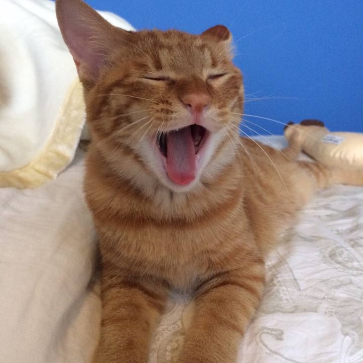 90342db4 47a2 4ba7 b248 8c5754470cb1