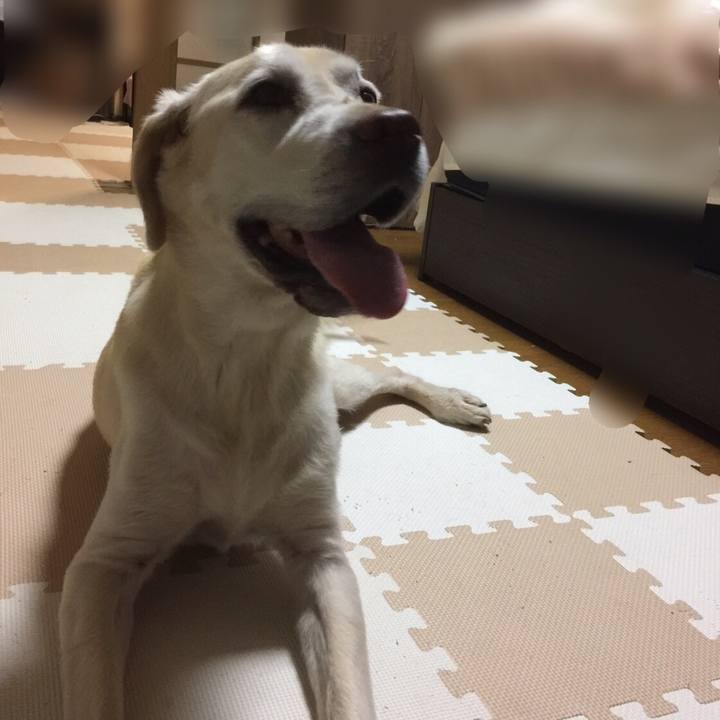 9034d90a ac91 41aa b10a 9bf22e1d249c