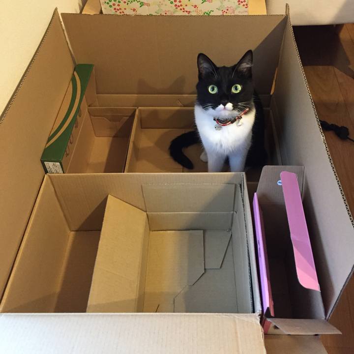 90350381 afdc 4829 9576 15b12eccd0f3