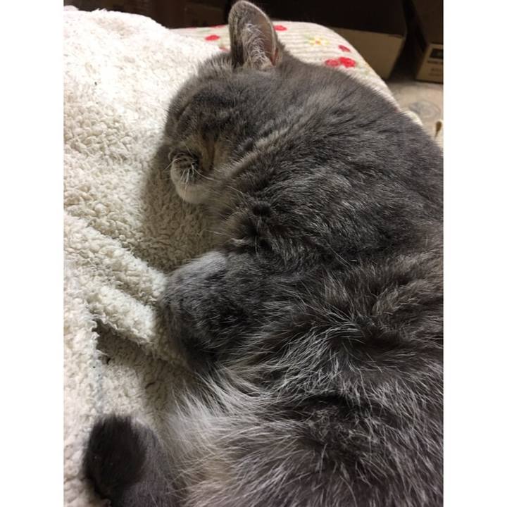 90352d74 ca84 4a5d 9eda d344c0873bef