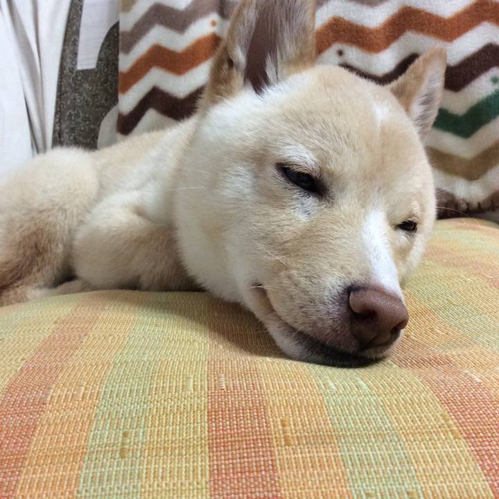 903557a9 8563 4302 945b bb15f8c57956