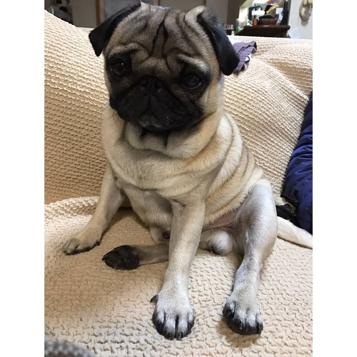 90363fe4 3733 4e86 9425 39cc618ef28c