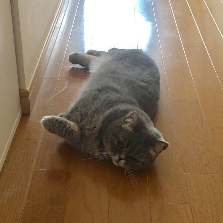 9036deda bb7a 43b2 951e 9681ab5862e2