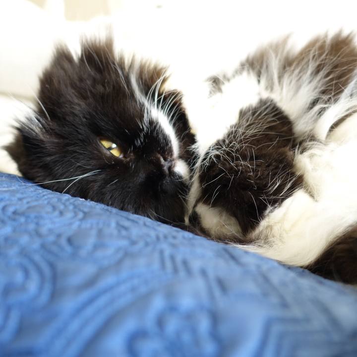 9036f3d3 1f85 4932 a988 dc37c18a991b