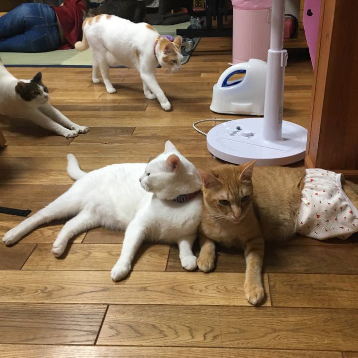 903705fb 66e4 4ec8 a89d b84d9e64c1b1