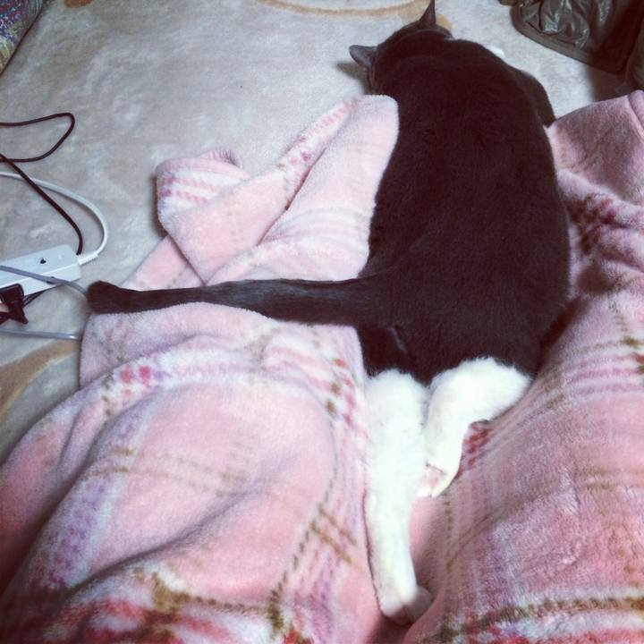 903711f1 f004 4298 9f05 2eeebb9629a6