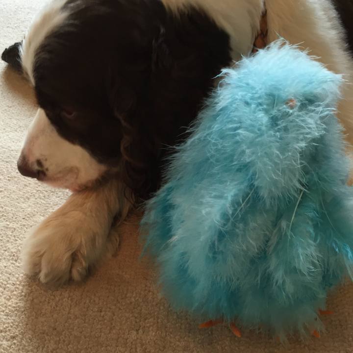 90372b96 956c 44a1 9327 6dac9702126d