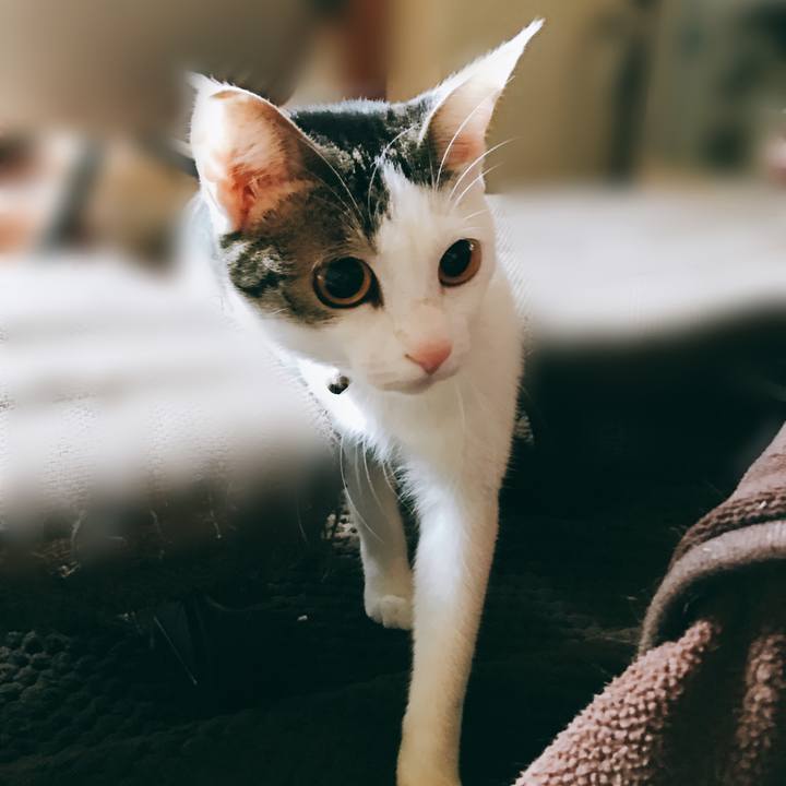 9037790a 8d11 44b8 bda9 cfed6044e3a9