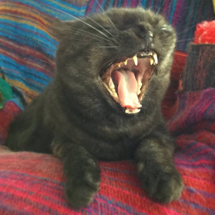 9037d193 78c9 4135 89b9 cccc45e55146