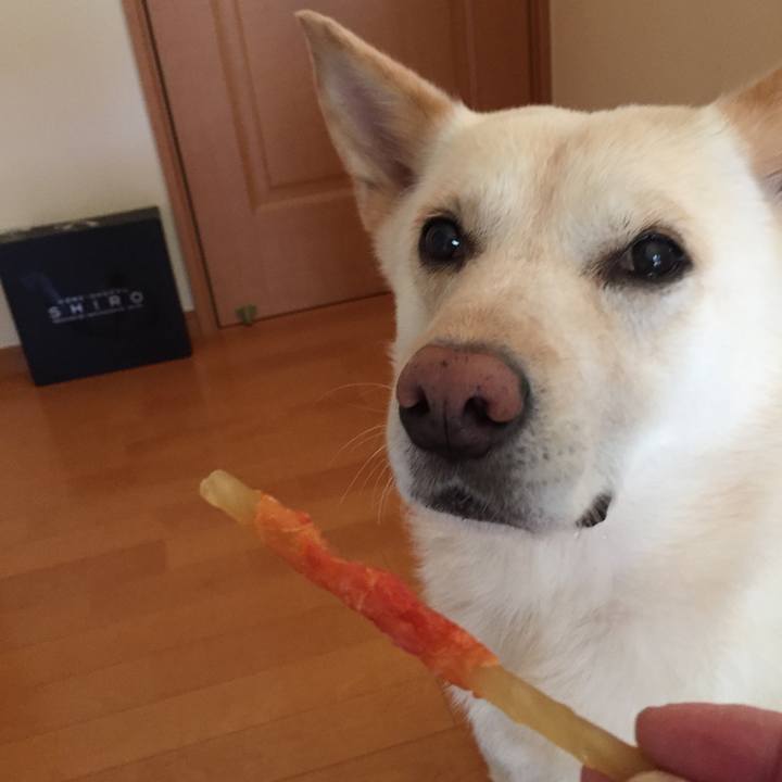 9039334b 5786 4945 b7f8 cc00acb14acb