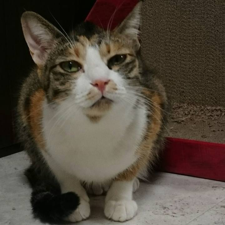 903954b6 32c6 4edc a074 d15461653eef