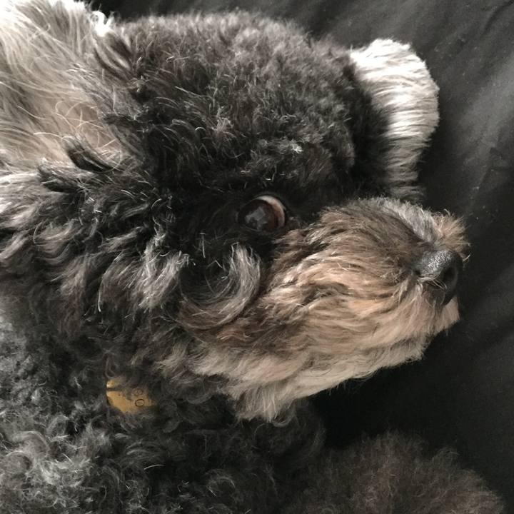 90395c14 2bc2 42e7 81eb da9ea04965c4