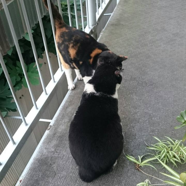 9039c8cb f924 4365 9a36 33196ce770df