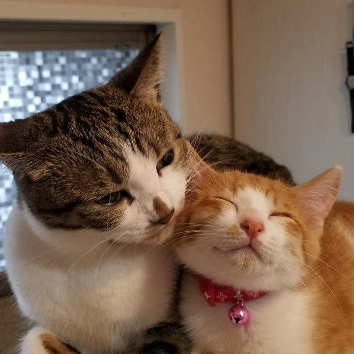 903a4832 f391 4657 b97c bf8d5bda51f5