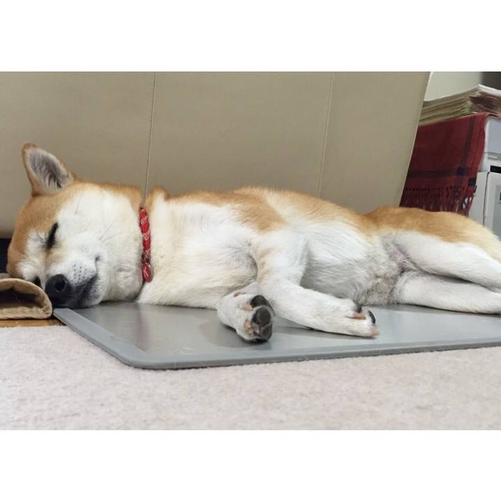 903aa332 4de0 4a08 a0ab 169552befb60