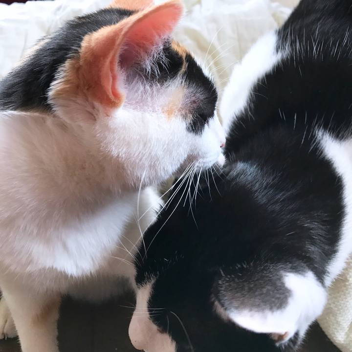 903aa92f a378 4e67 8583 002ad554cab5