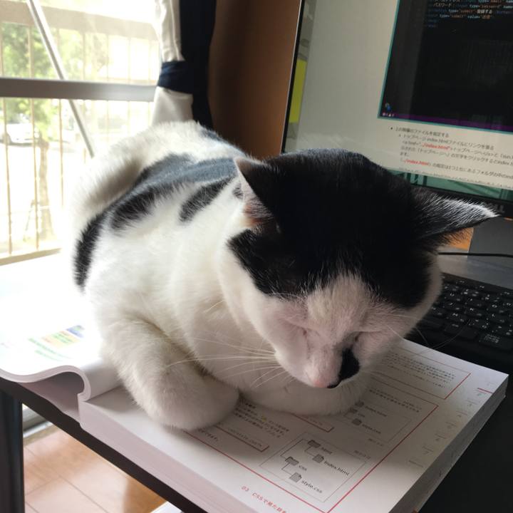 903b2066 700b 421d 81ed 5e059686bdfc