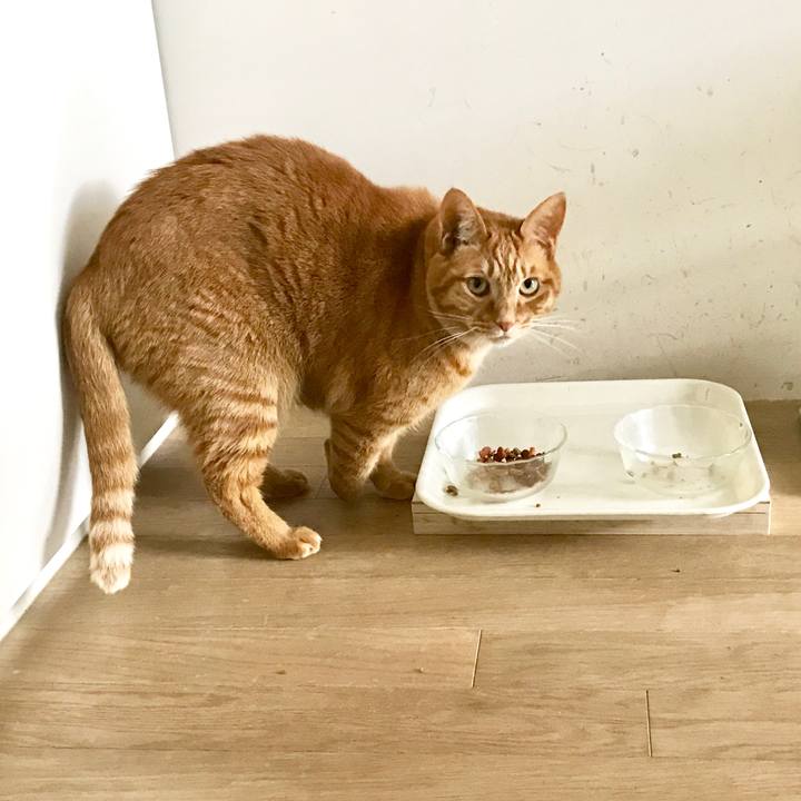 903b2488 184a 4415 ae6b c16dccfcc752