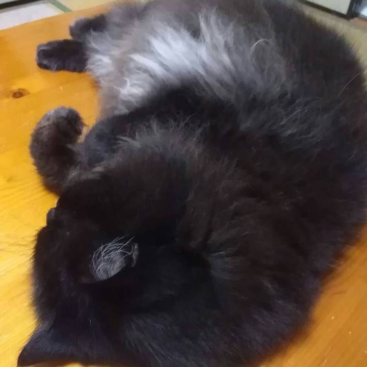 903d17ad a2f3 4d2a a81a 0a43f29f7ce5